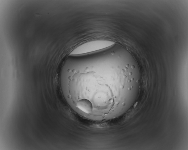 X0000086730278200704130752