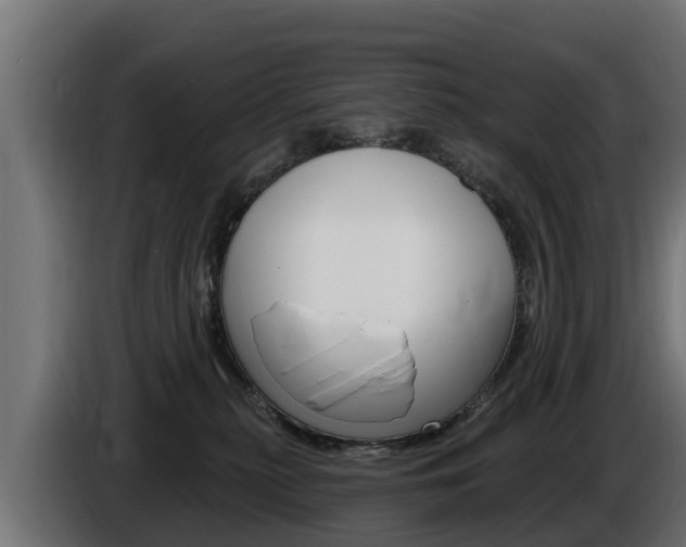 X0000086730279200704130752