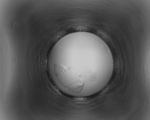 X0000086730281200704130752
