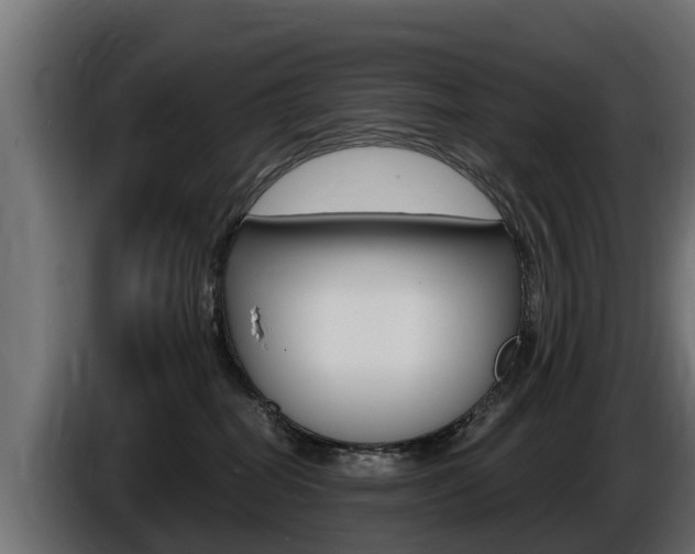 X0000086730282200704130752