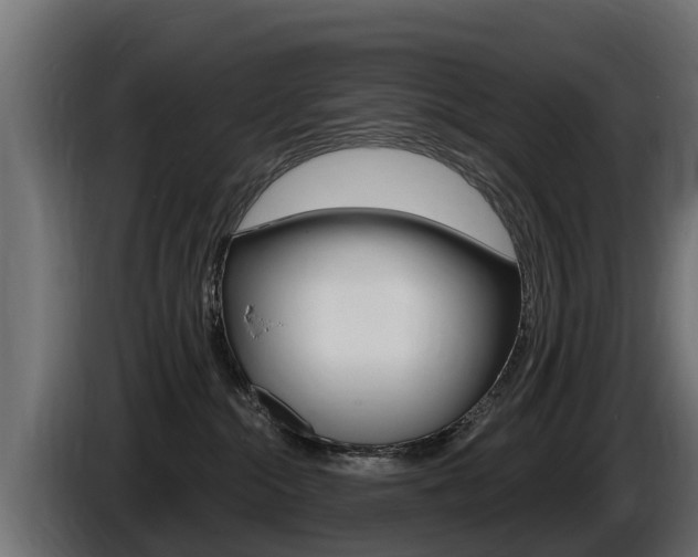 X0000086730284200704130752