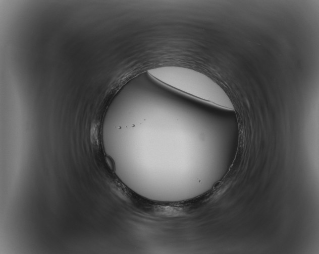 X0000086730286200704130752