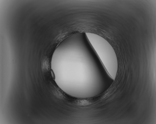 X0000086730287200704130752