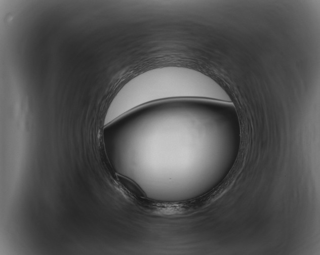 X0000086730288200704130752