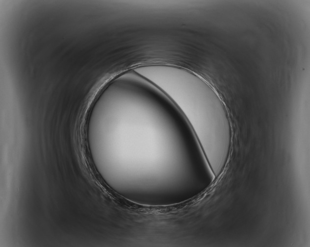 X0000086730289200704130751