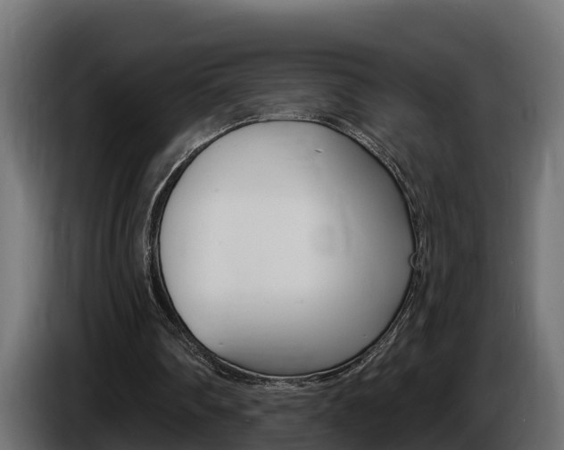 X0000086730290200704130751