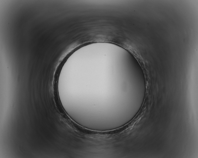 X0000086730292200704130751