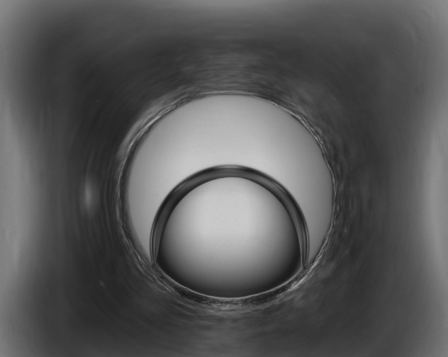 X0000086730293200704130751
