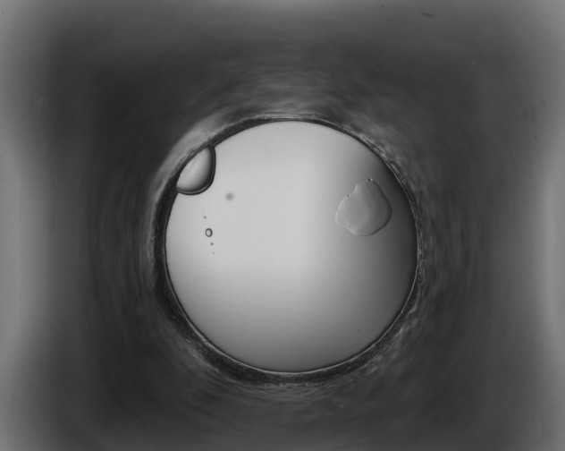 X0000086730296200704130751