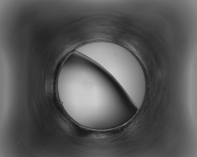 X0000086730299200704130751