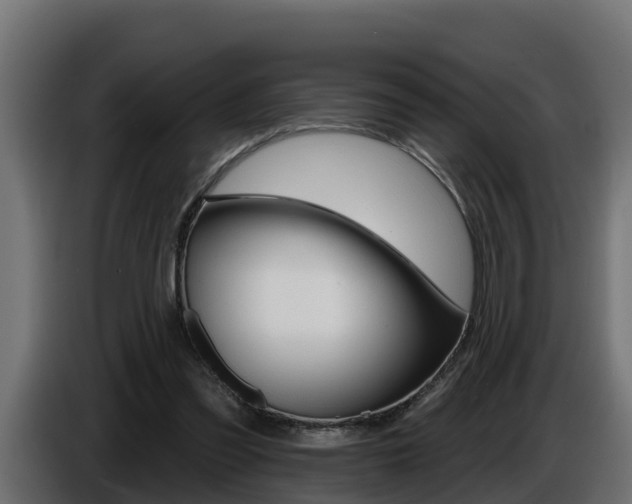 X0000086730301200704130751