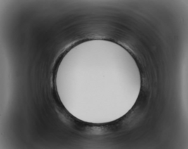 X0000086730302200704130751