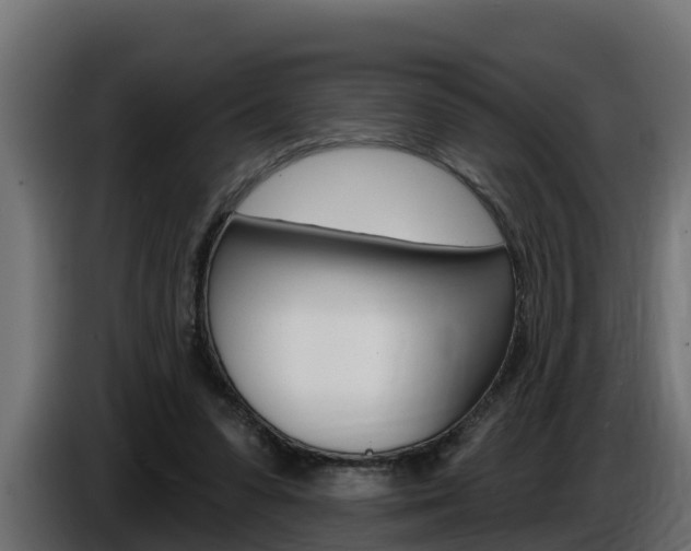 X0000086730303200704130751