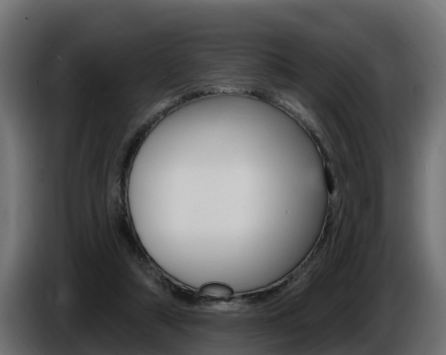X0000086730306200704130751