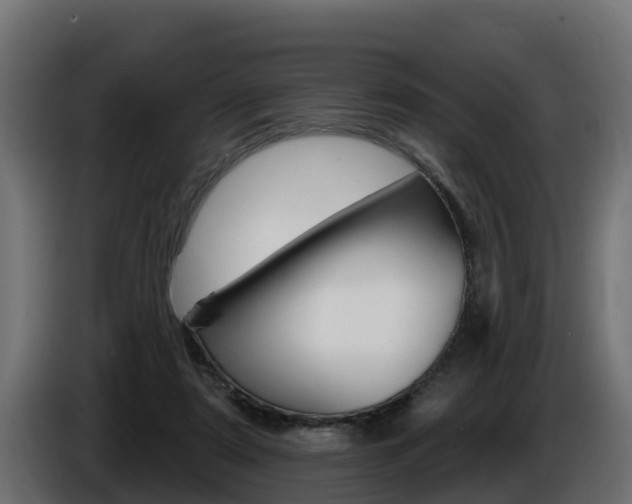 X0000086730307200704130751