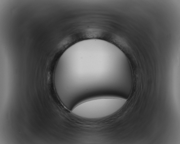 X0000086730308200704130751