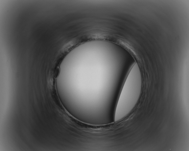 X0000086730309200704130751