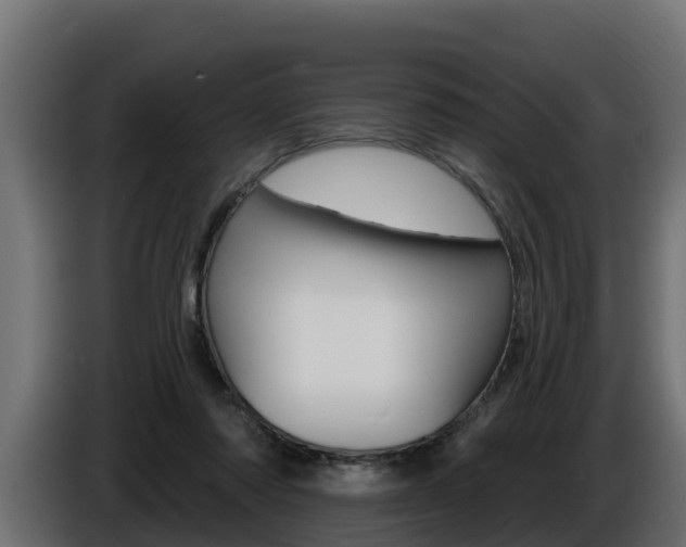X0000086730310200704130751