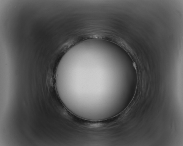 X0000086730313200704130751