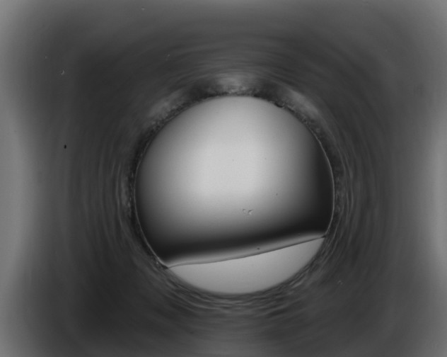 X0000086730317200704130751