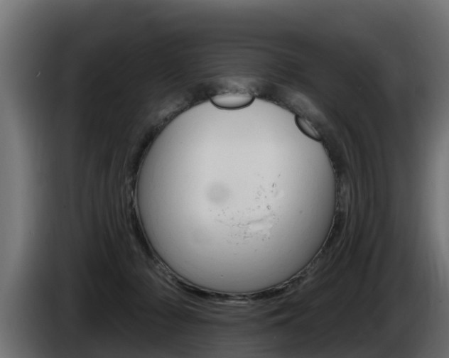 X0000086730318200704130751