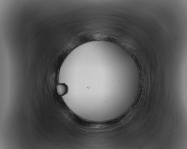 X0000086730319200704130751
