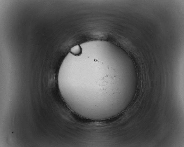 X0000086730320200704130751