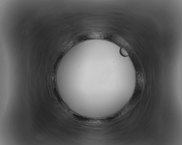 X0000086730322200704130751