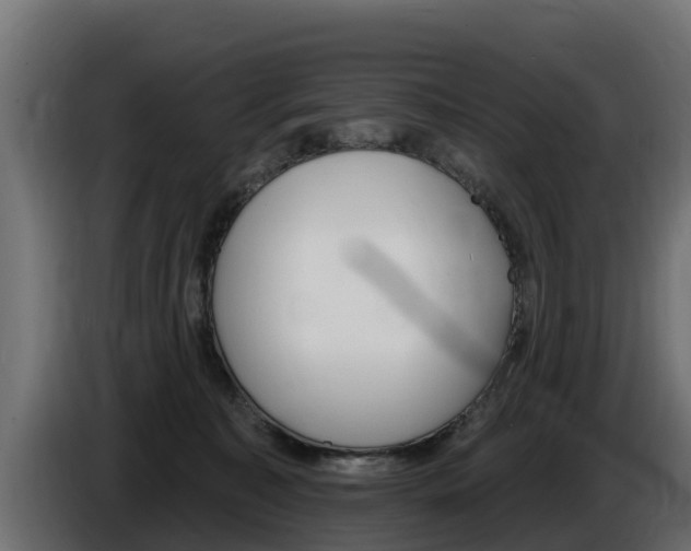 X0000086730323200704130751