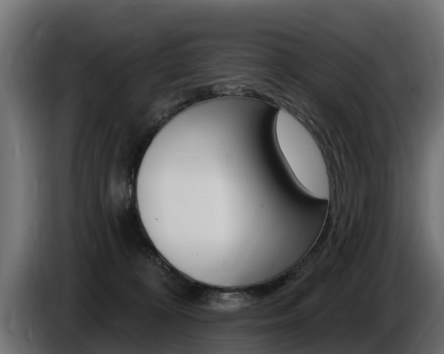 X0000086730324200704130751