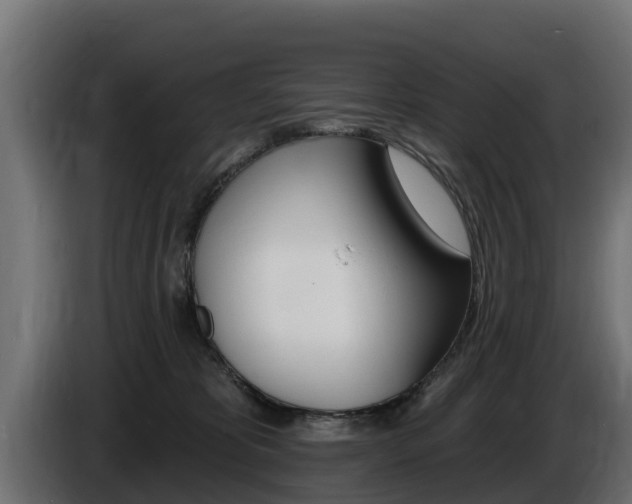 X0000086730325200704130751