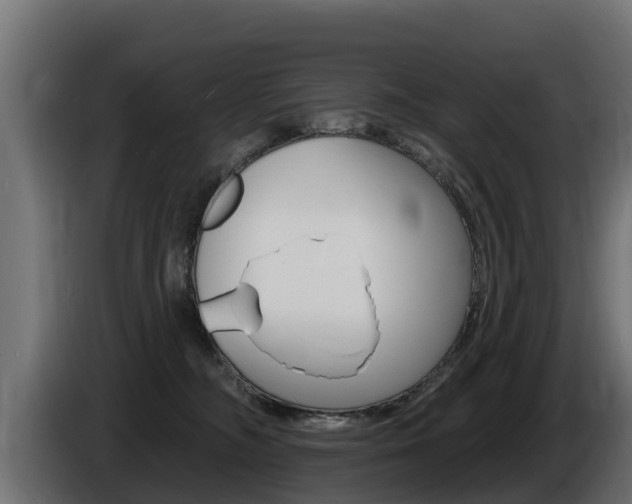 X0000086730326200704130751