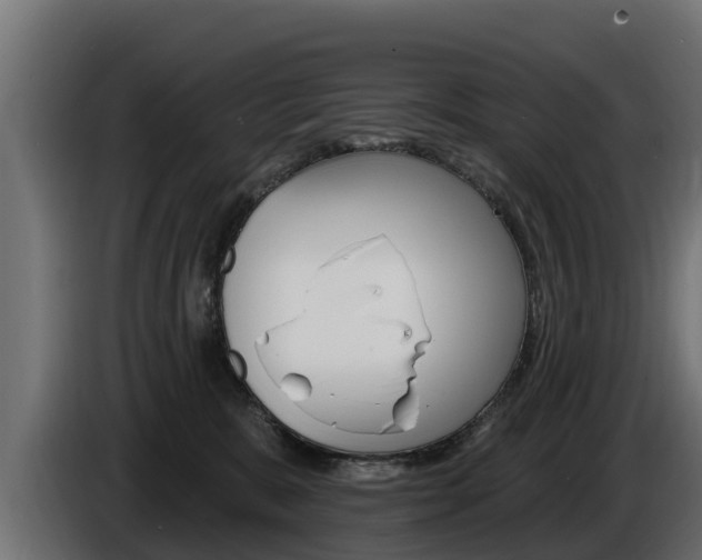 X0000086730327200704130751