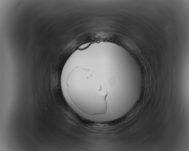 X0000086730328200704130751