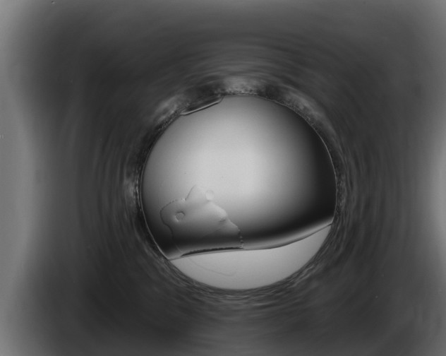 X0000086730329200704130751