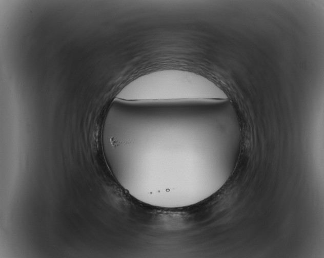 X0000086730332200704130751