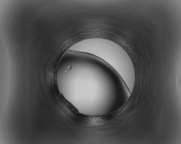 X0000086730333200704130751