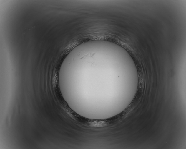 X0000086730334200704130751
