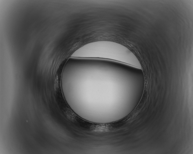 X0000086730335200704130751