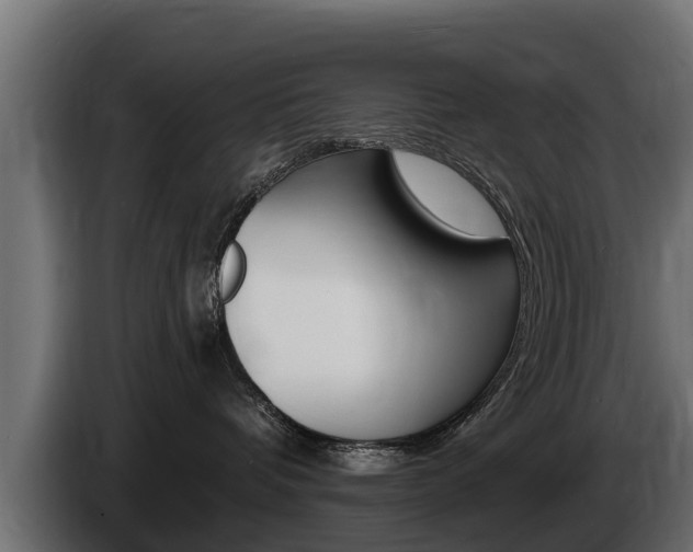 X0000086730336200704130751