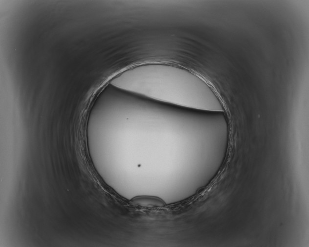 X0000086730337200704130750
