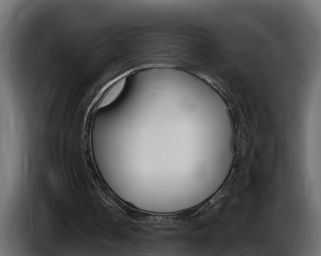 X0000086730338200704130750