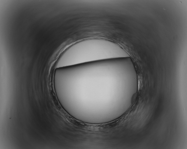 X0000086730339200704130750