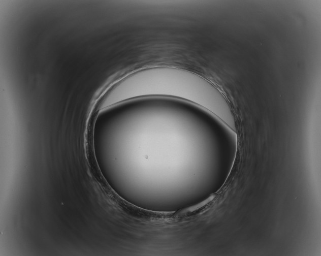 X0000086730340200704130750
