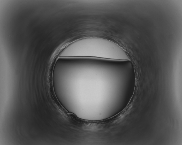 X0000086730341200704130750