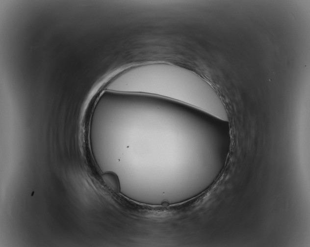 X0000086730342200704130750