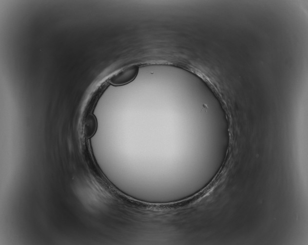 X0000086730343200704130750