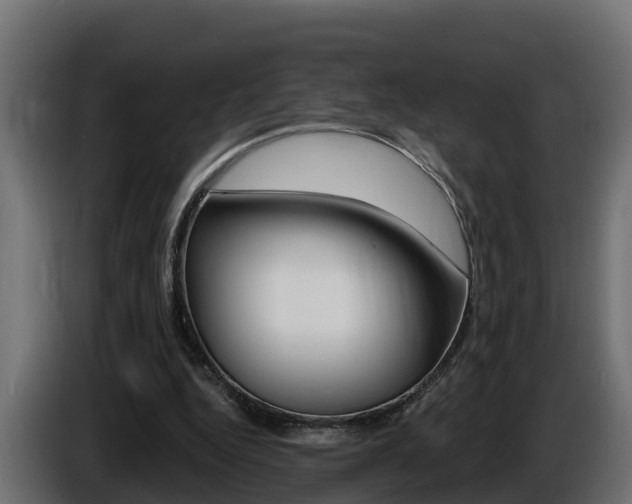 X0000086730344200704130750