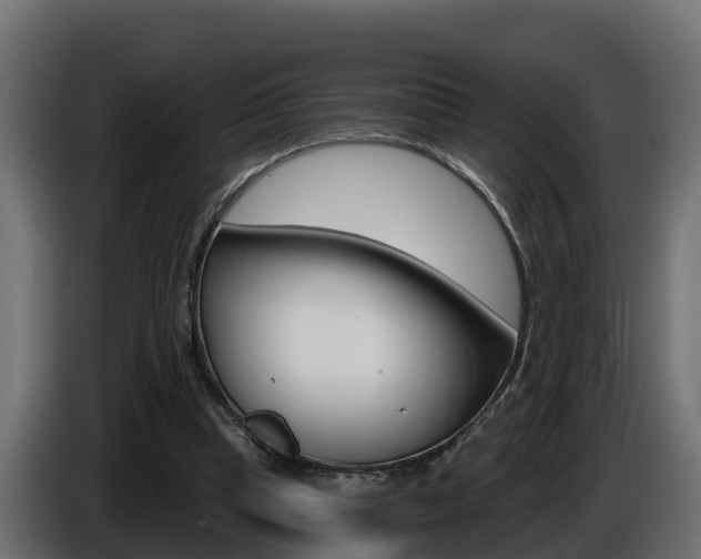 X0000086730345200704130750