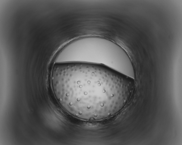 X0000086730346200704130750